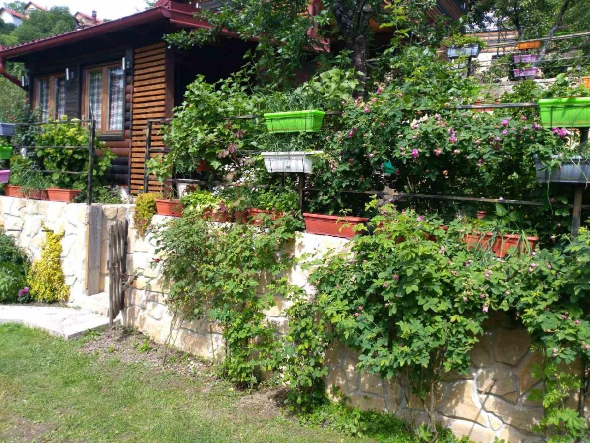 The Bungalows Сараево Экстерьер фото